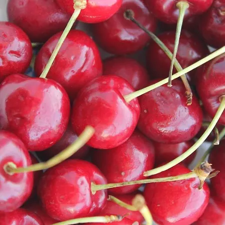 Silver House Apartment *